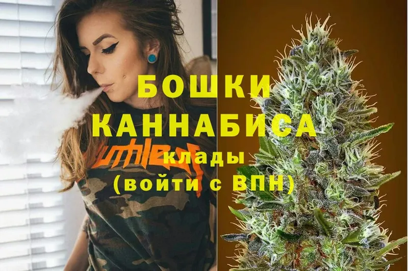 купить наркотики сайты  Зубцов  Каннабис White Widow 